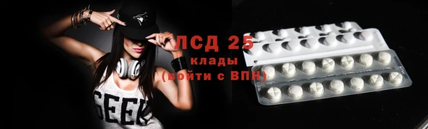 винт Бородино