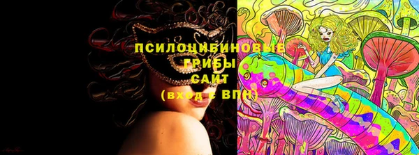 дмт Бронницы
