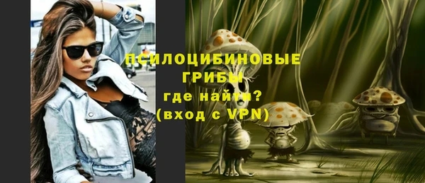 винт Бородино