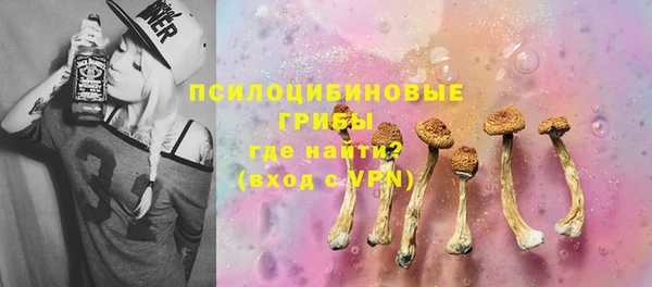 дмт Бронницы